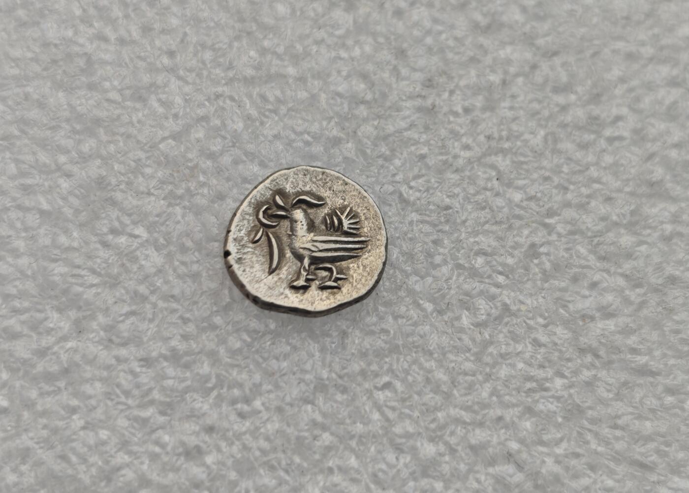 瓶子🏺第221期拍卖会