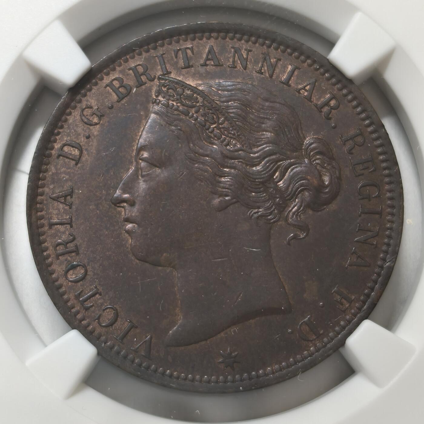 老蟹的宝藏🏴‍☠️ V