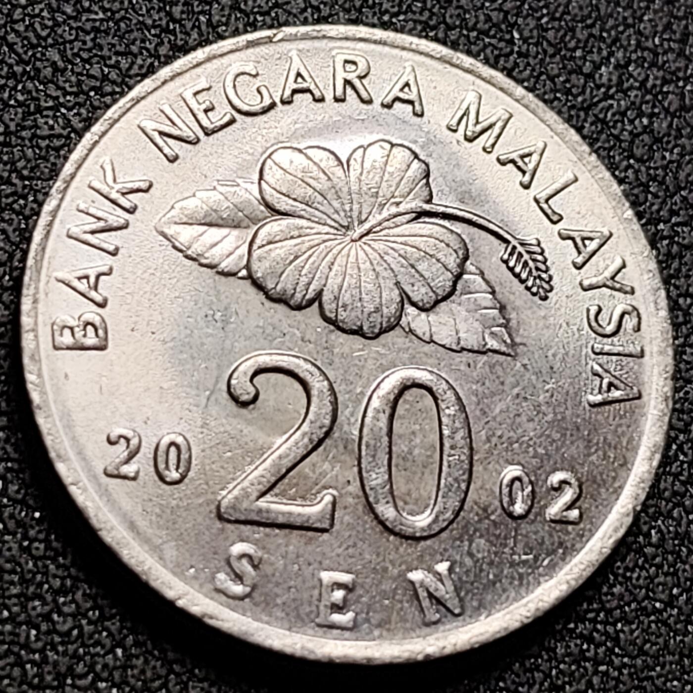 泉币菌-第149场-精品福利场 。