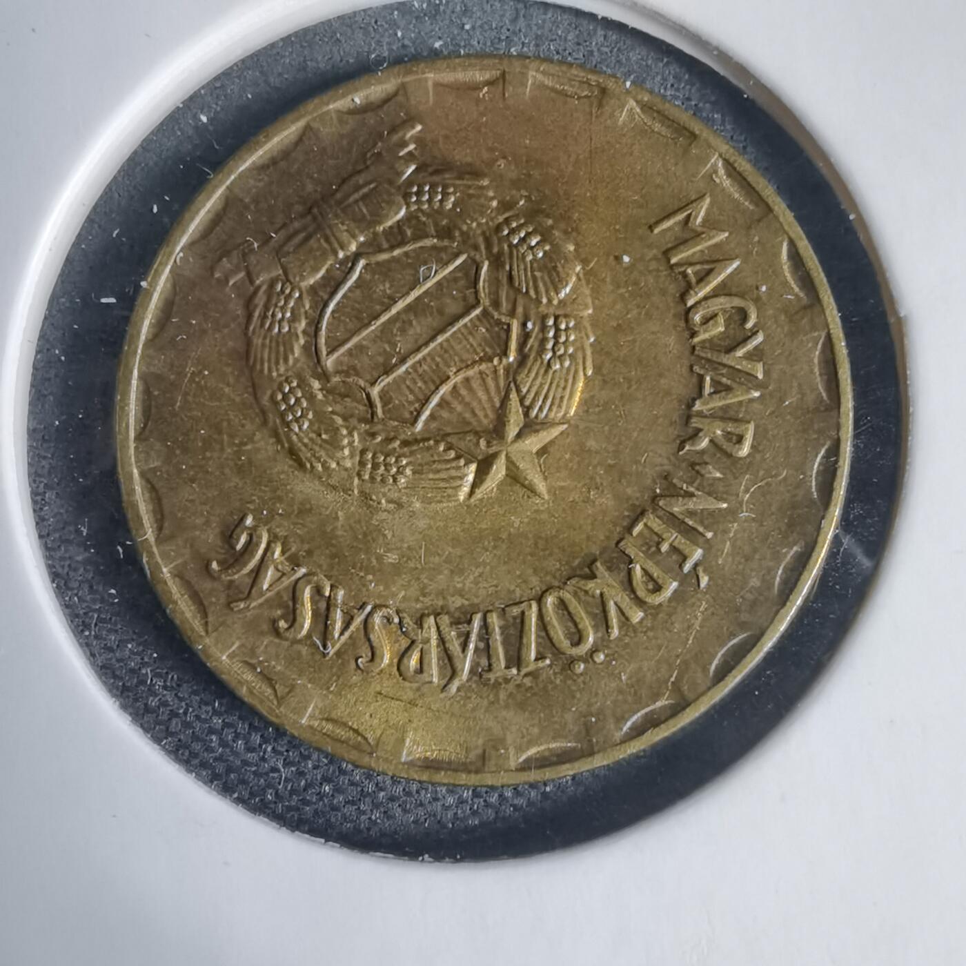 沼泽如烟--第937场