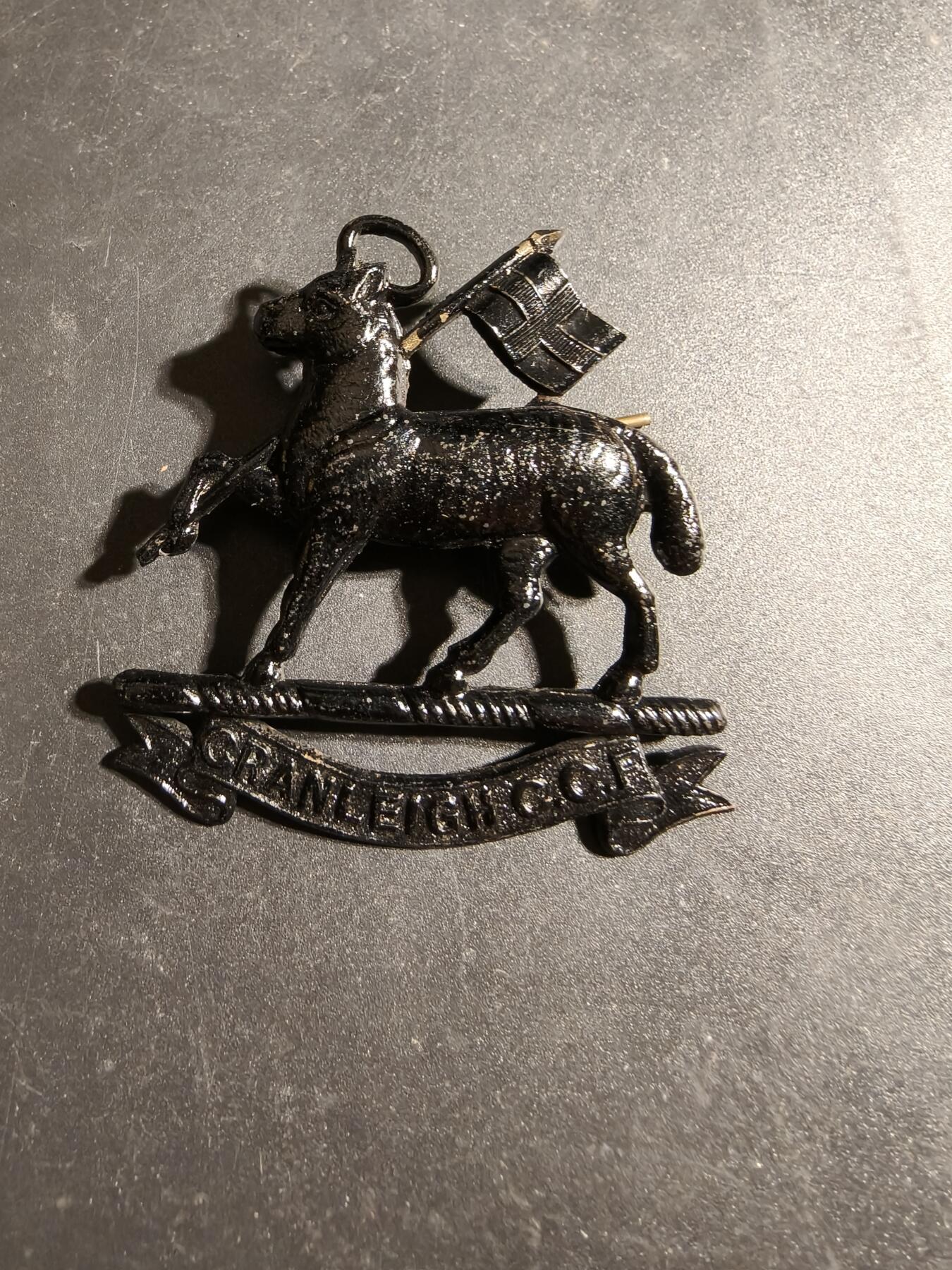 老王徽章第170期