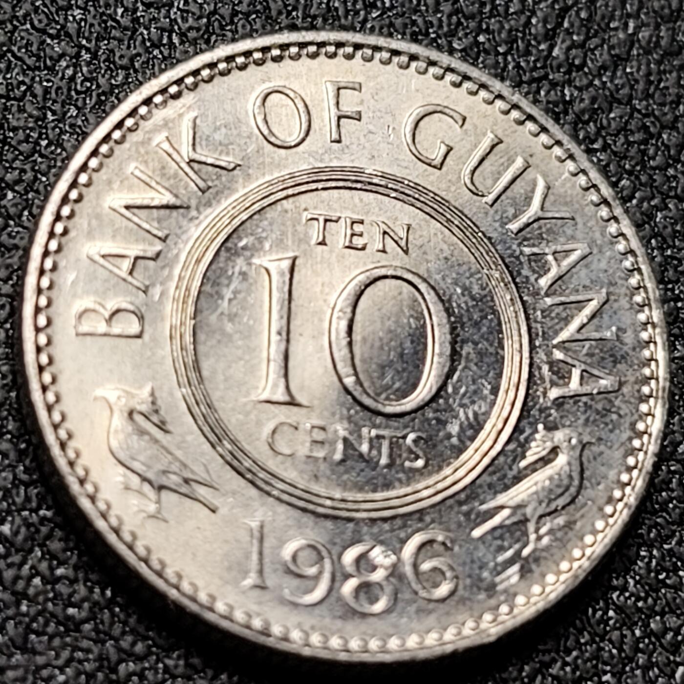 泉币菌-第151场-精品福利场 。