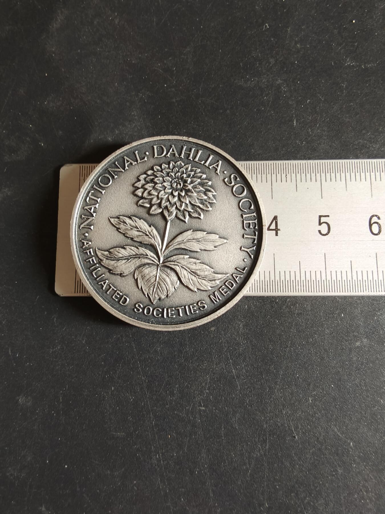 老王徽章第170期