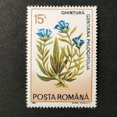↓君缘收藏684期☞钱币邮品↓无佣金、可寄存、满30元包邮  - 罗马尼亚邮票，1993年花卉植物 宽叶龙胆邮票