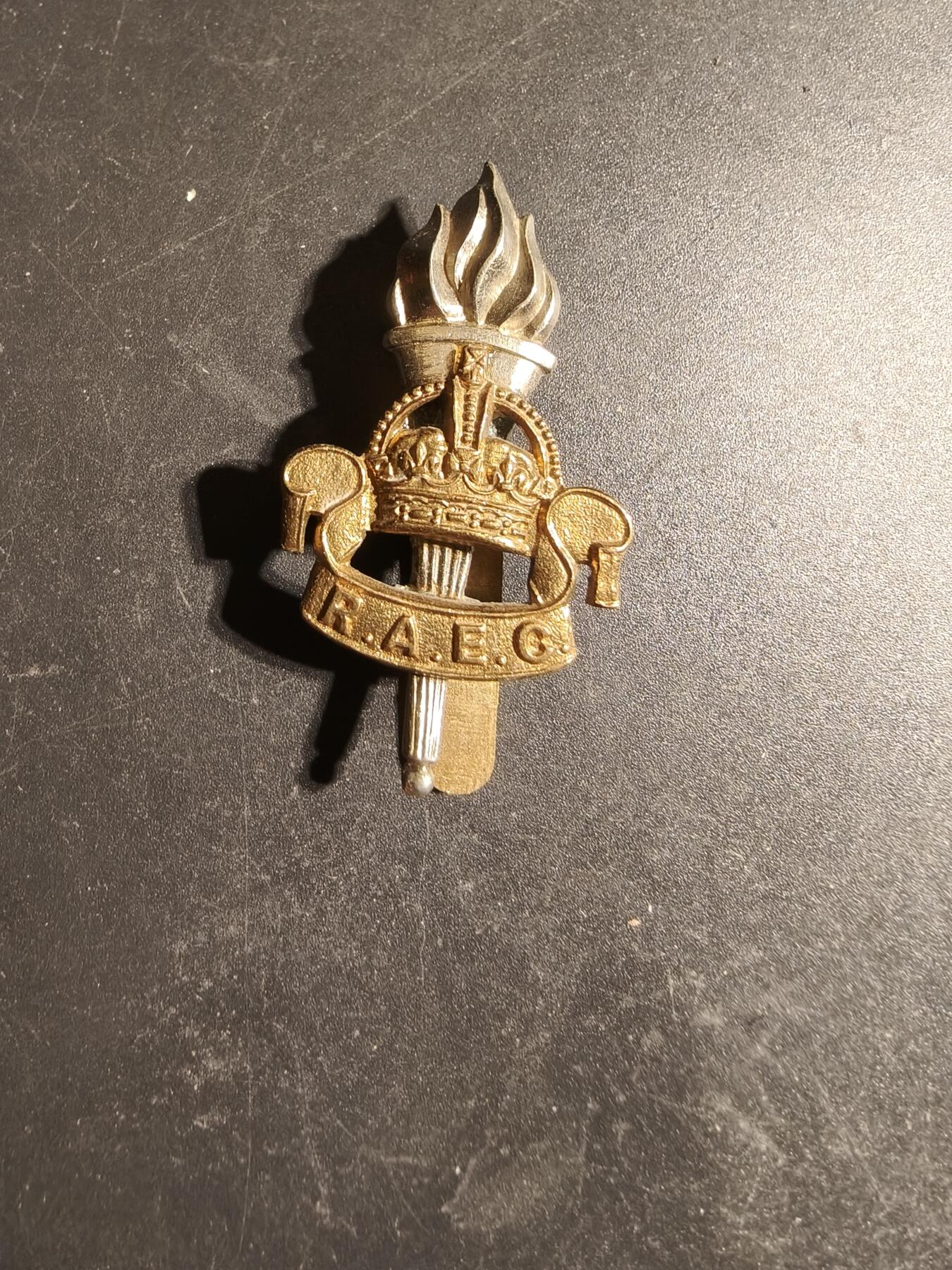 老王徽章第170期