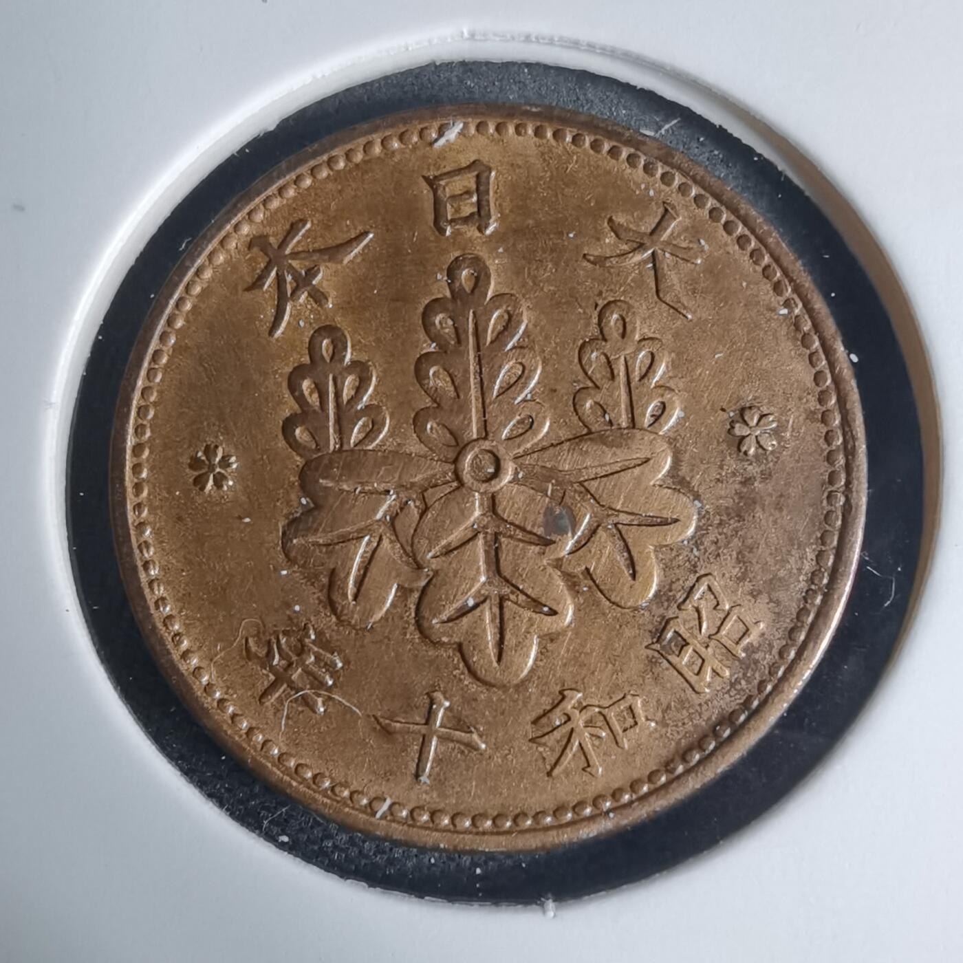 沼泽如烟--第939场