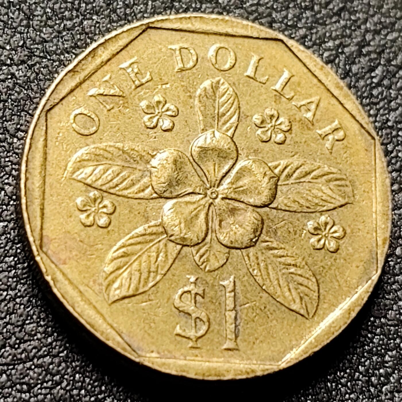 泉币菌-第151场-精品福利场 。