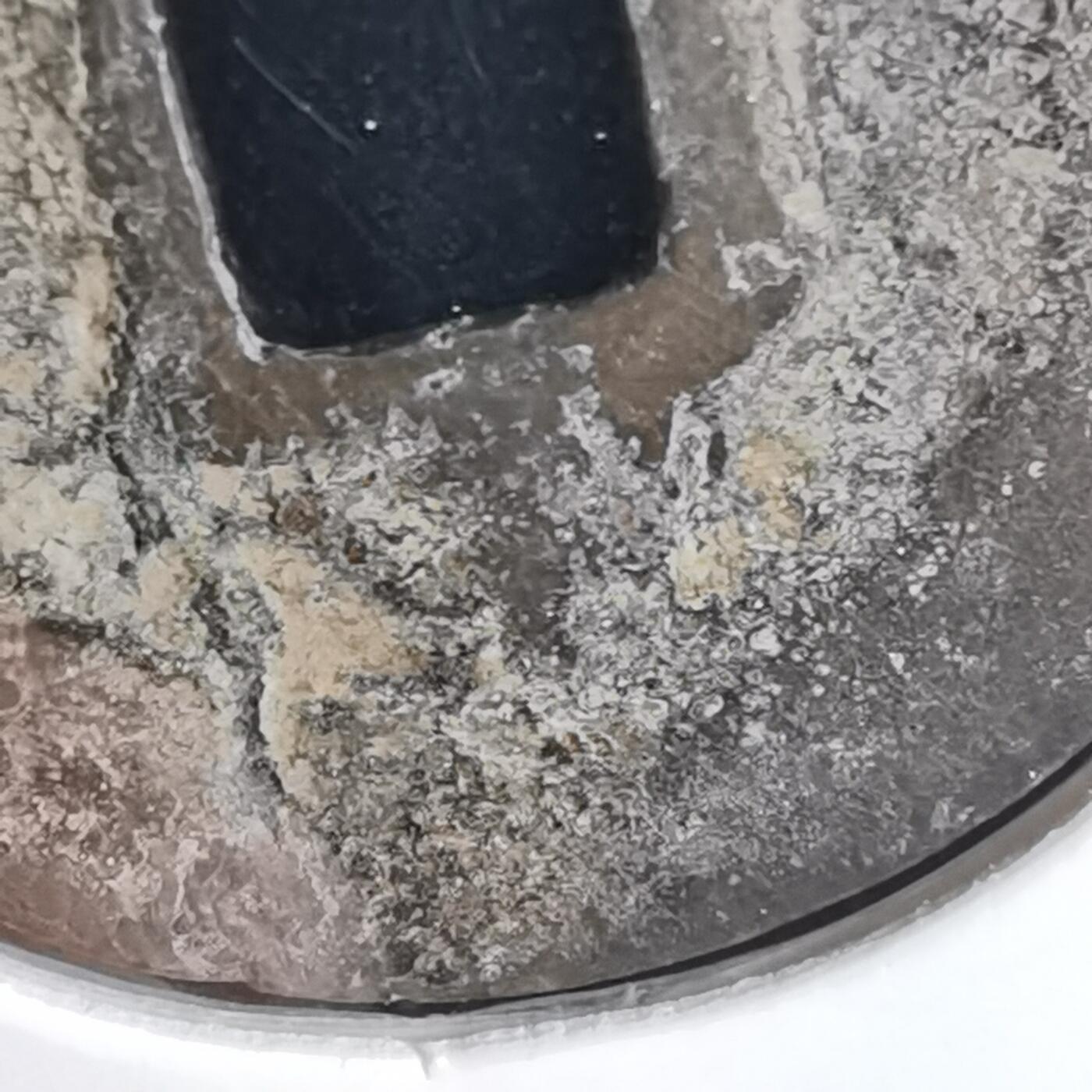 沼泽如烟--第939场 景兴通宝背中？