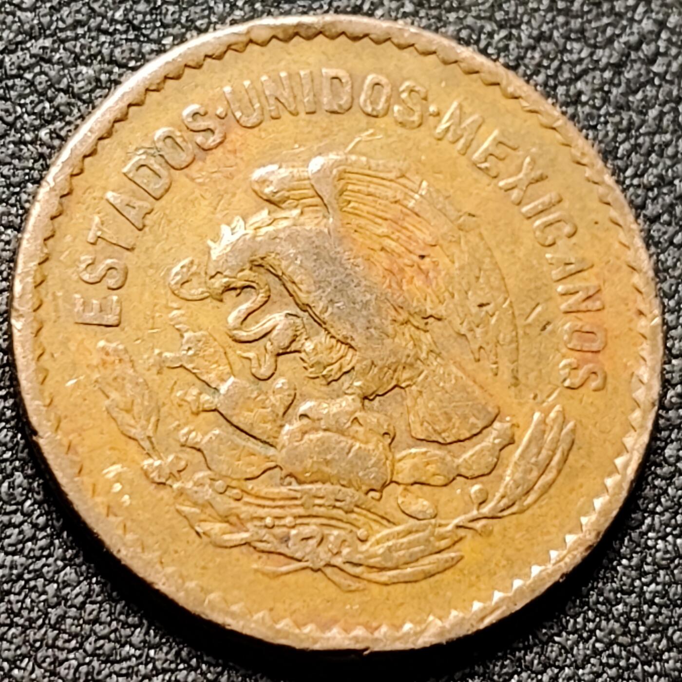 泉币菌-第150场-精品福利场 。