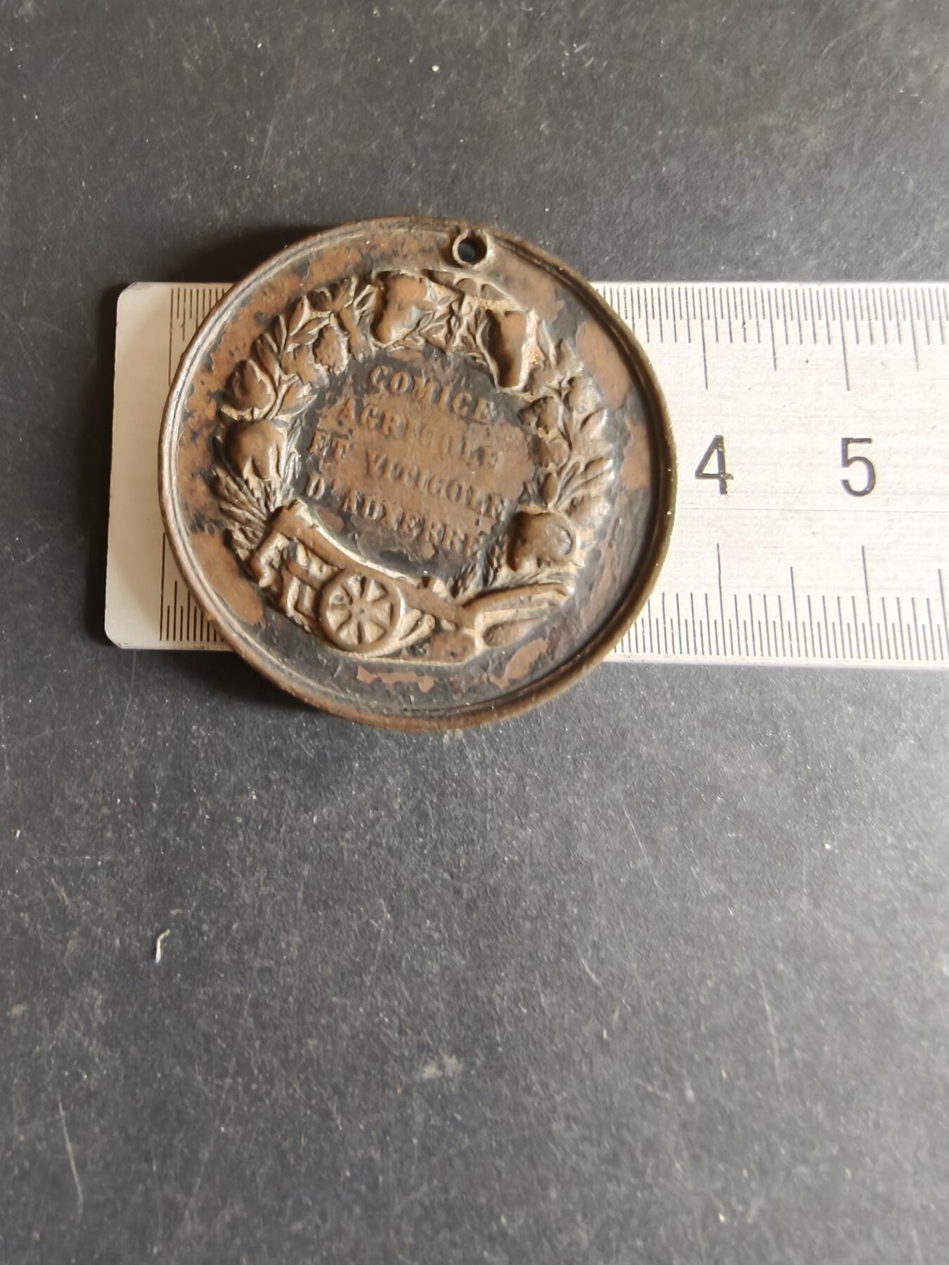 老王徽章第170期 法国农业协会大铜章     直径38mm    重量19.4g