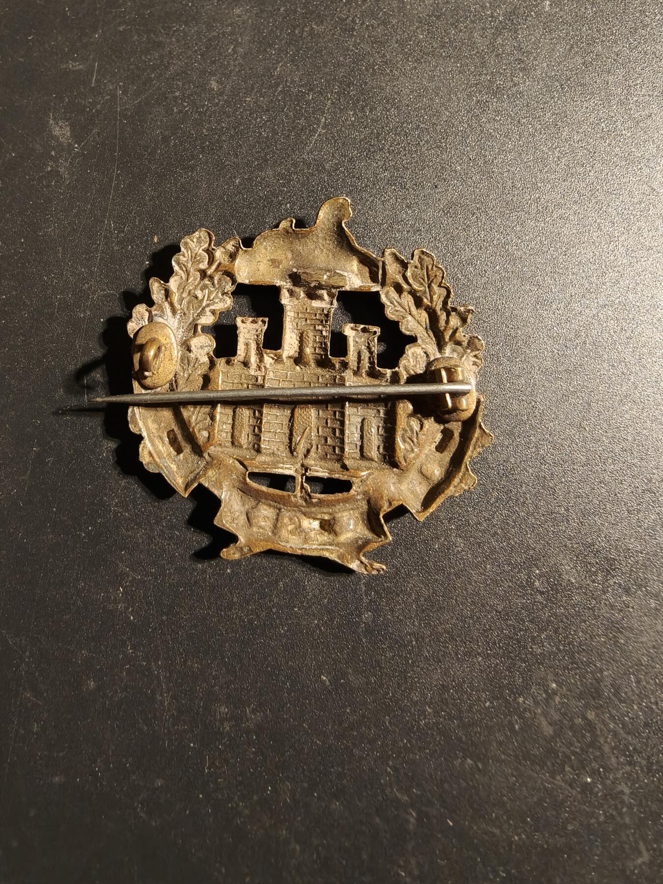 老王徽章第170期