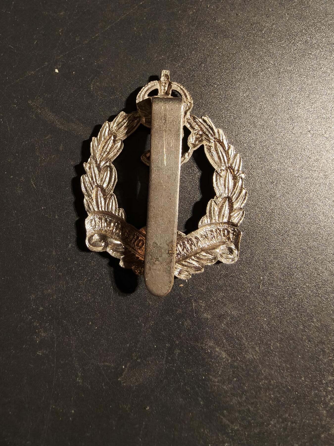 老王徽章第170期