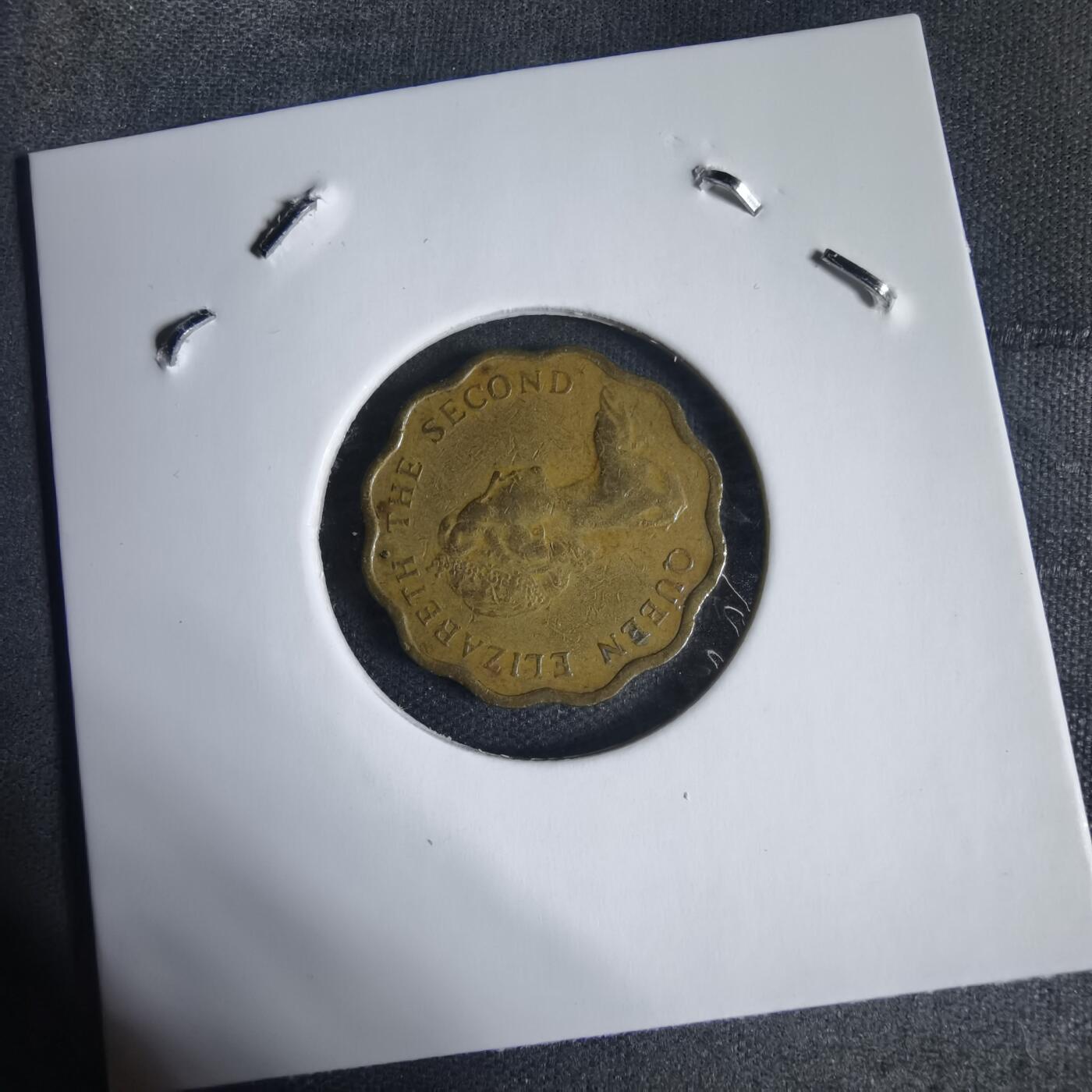 沼泽如烟--第937场