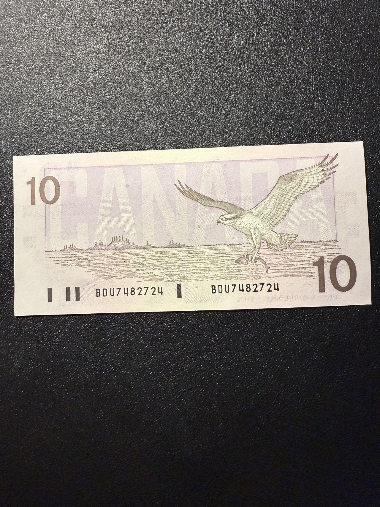 第14期 库存低价起拍 加拿大 鸟版10 全新unc 