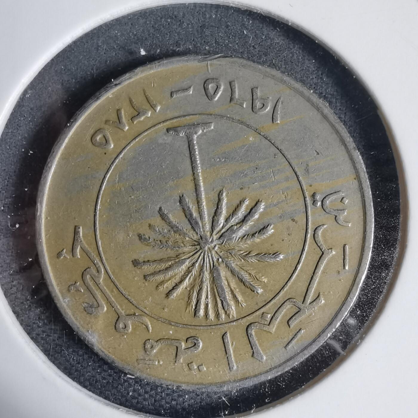 沼泽如烟--第937场