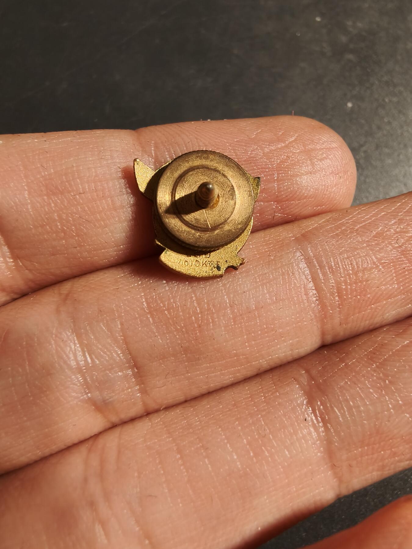 老王徽章第170期