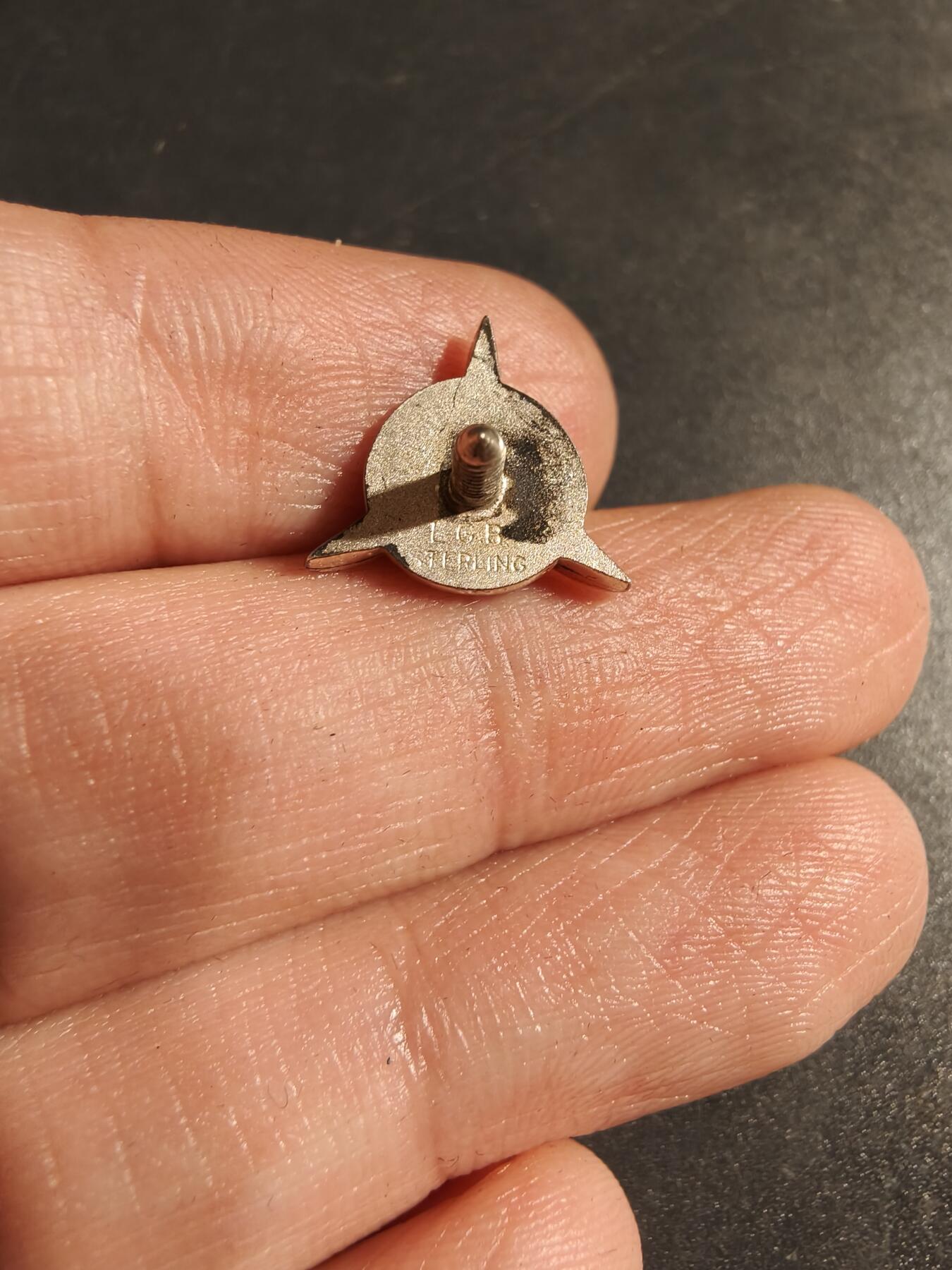 老王徽章第170期