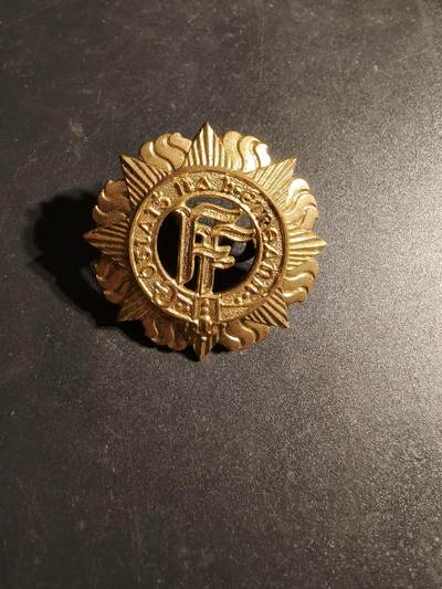 老王徽章第170期 - 爱尔兰共和国近卫步兵团帽徽