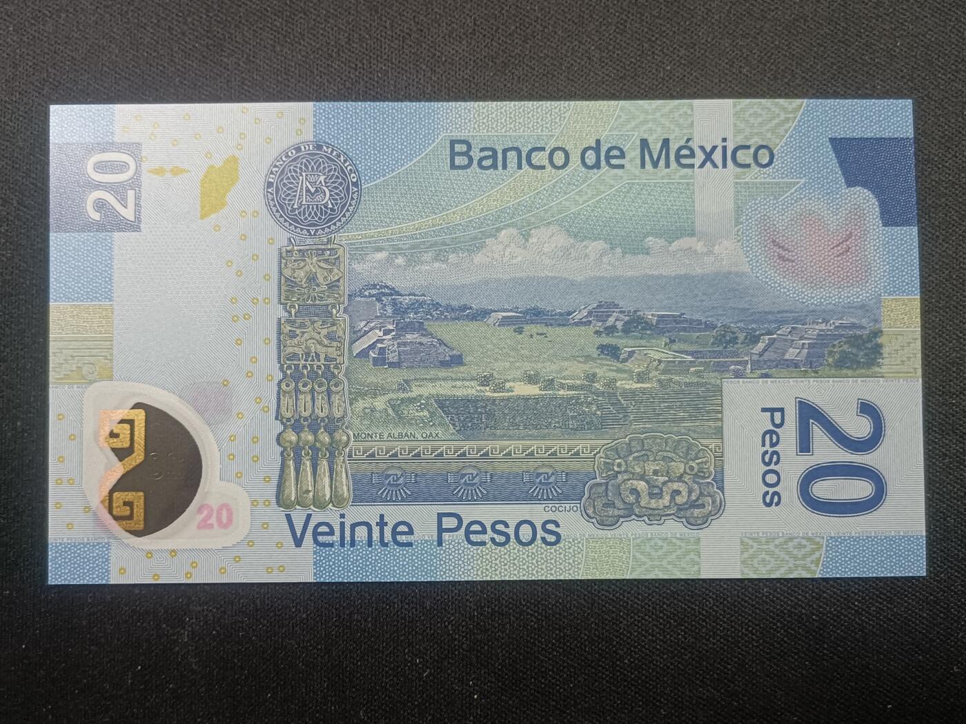 【游宝拍卖】乙巳蛇年99期 年末福尾场