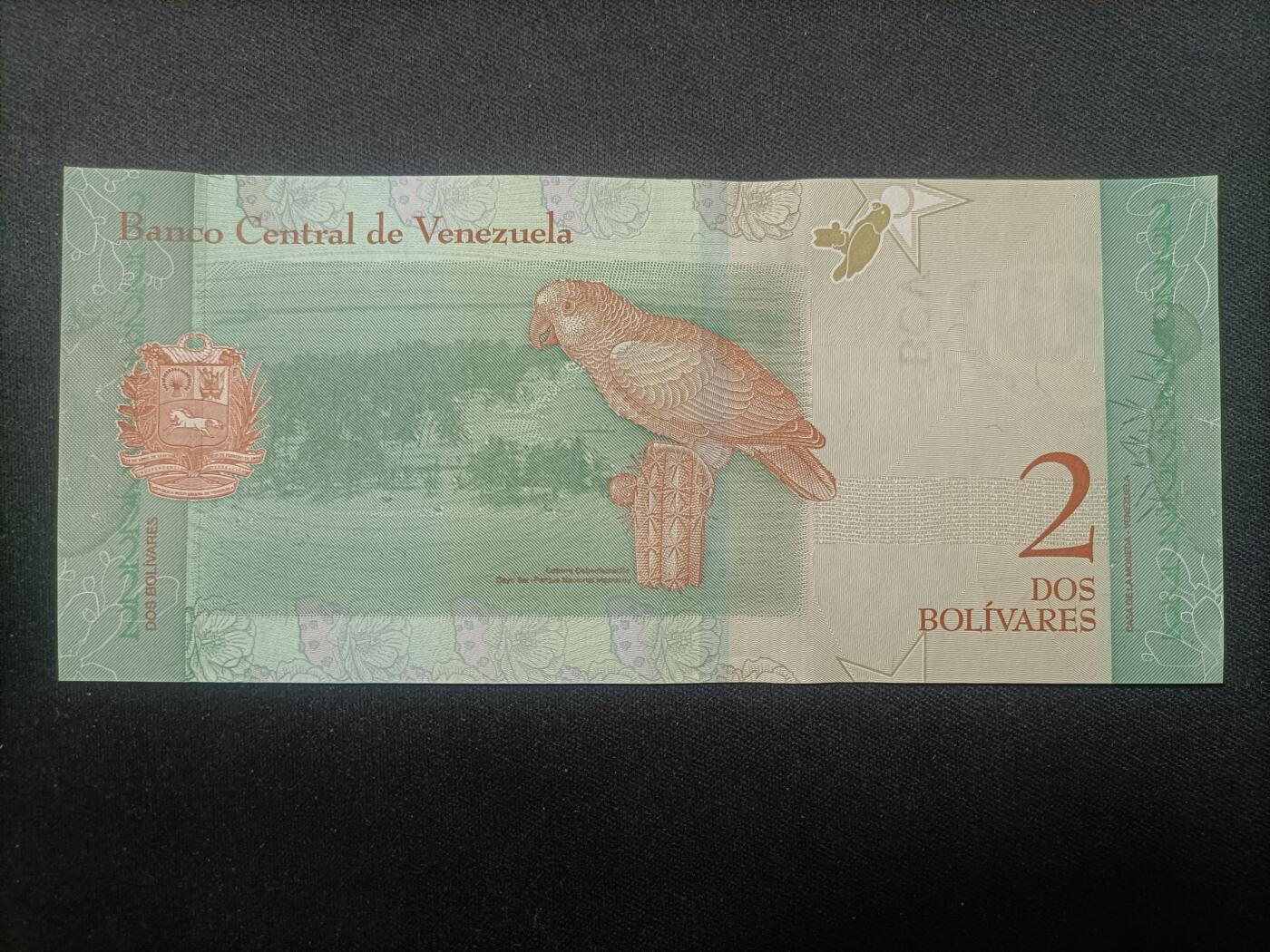 【游宝拍卖】乙巳蛇年99期 年末福尾场