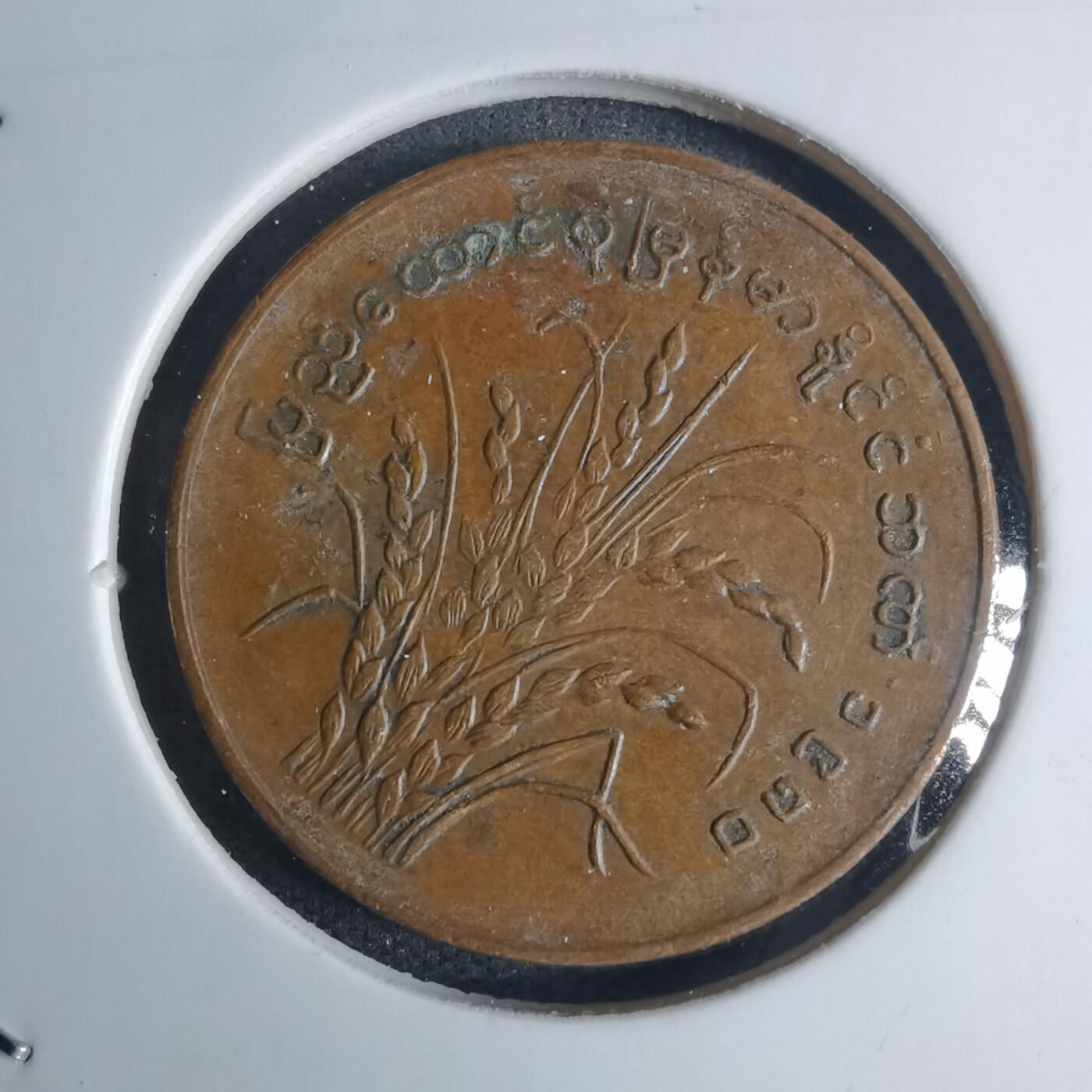 沼泽如烟--第939场 缅甸