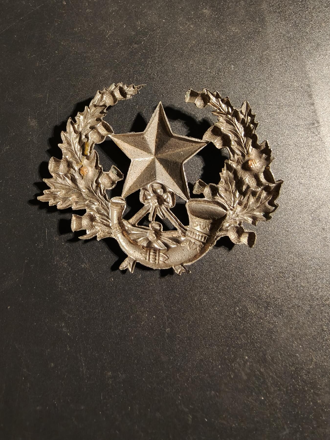 老王徽章第170期