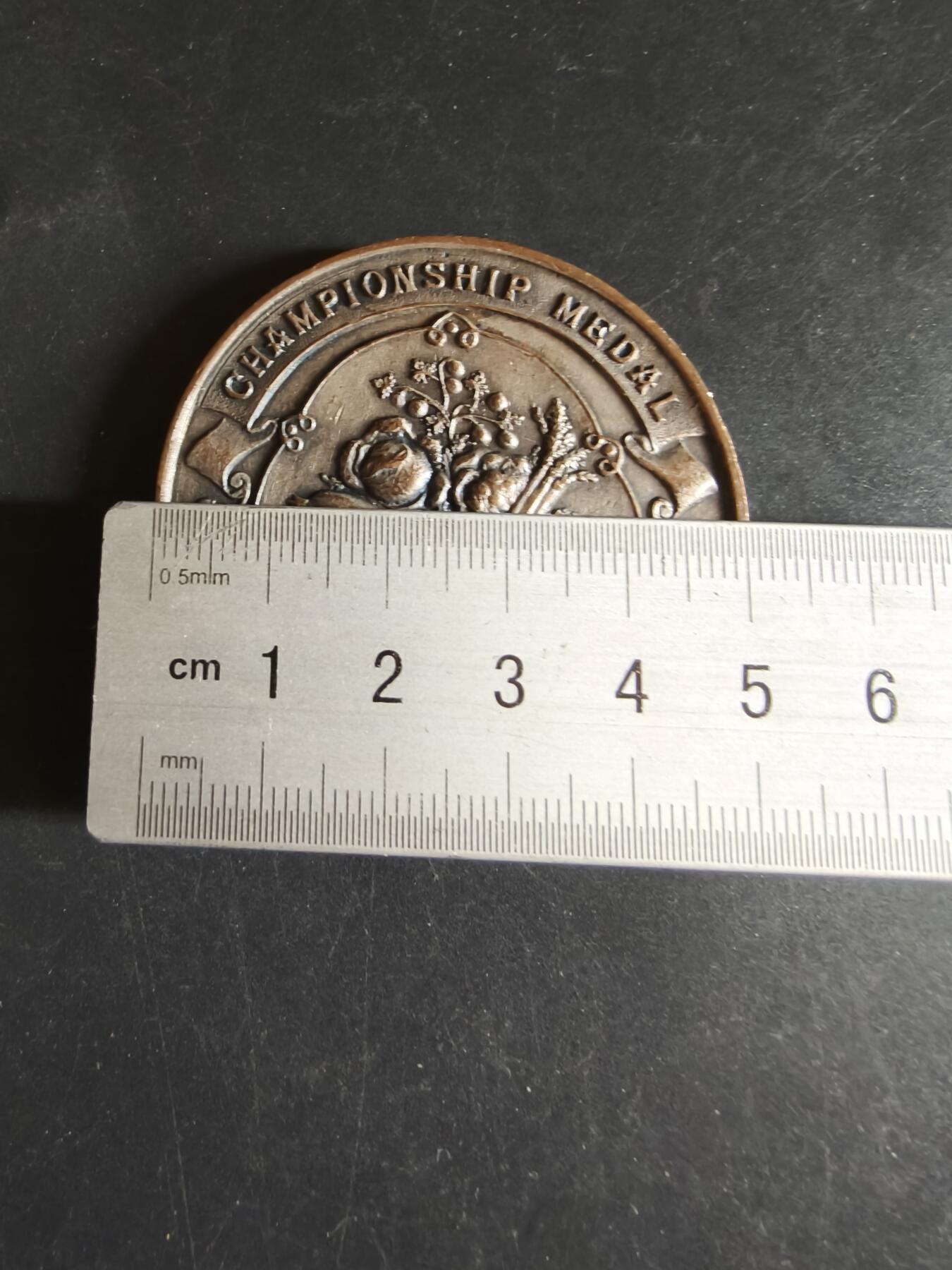 老王徽章第170期