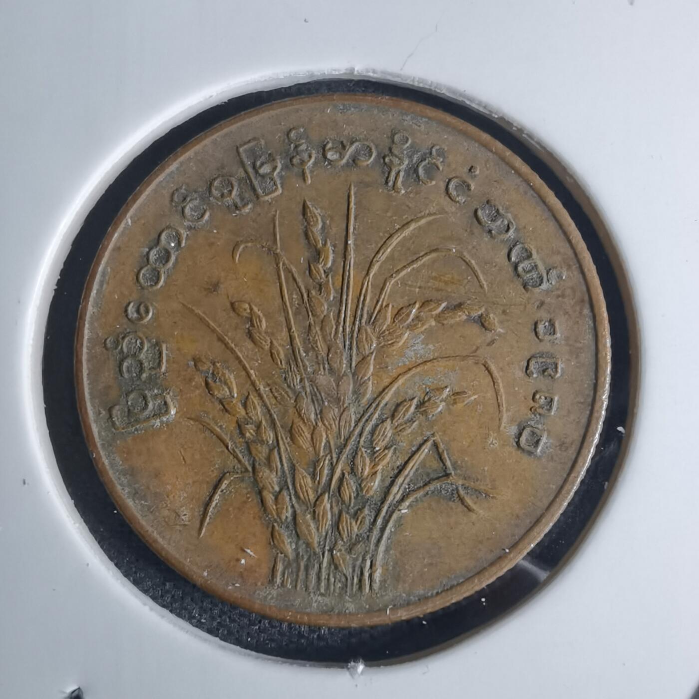 沼泽如烟--第939场