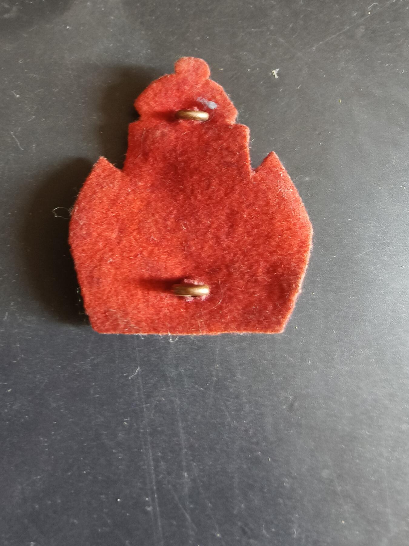 老王徽章第170期