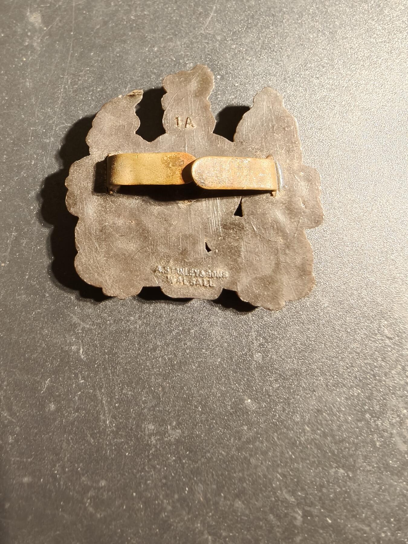 老王徽章第170期