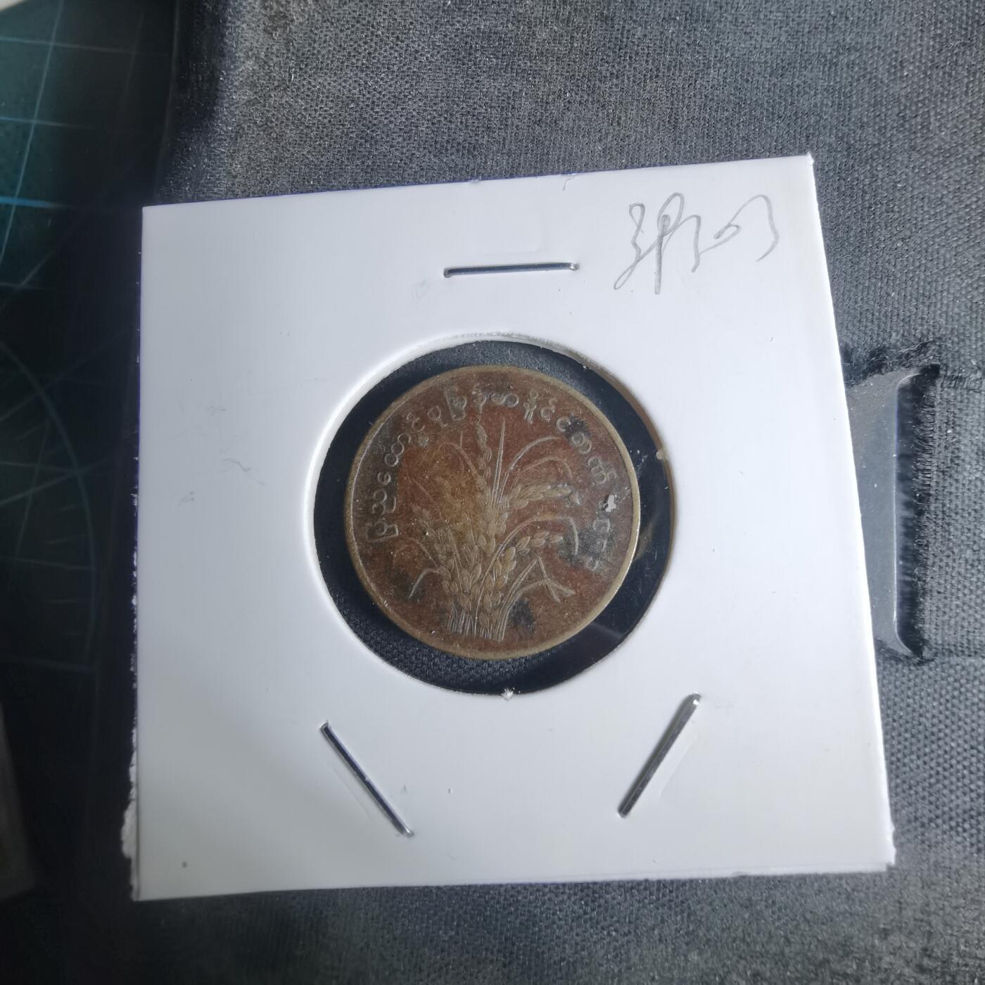 沼泽如烟--第939场