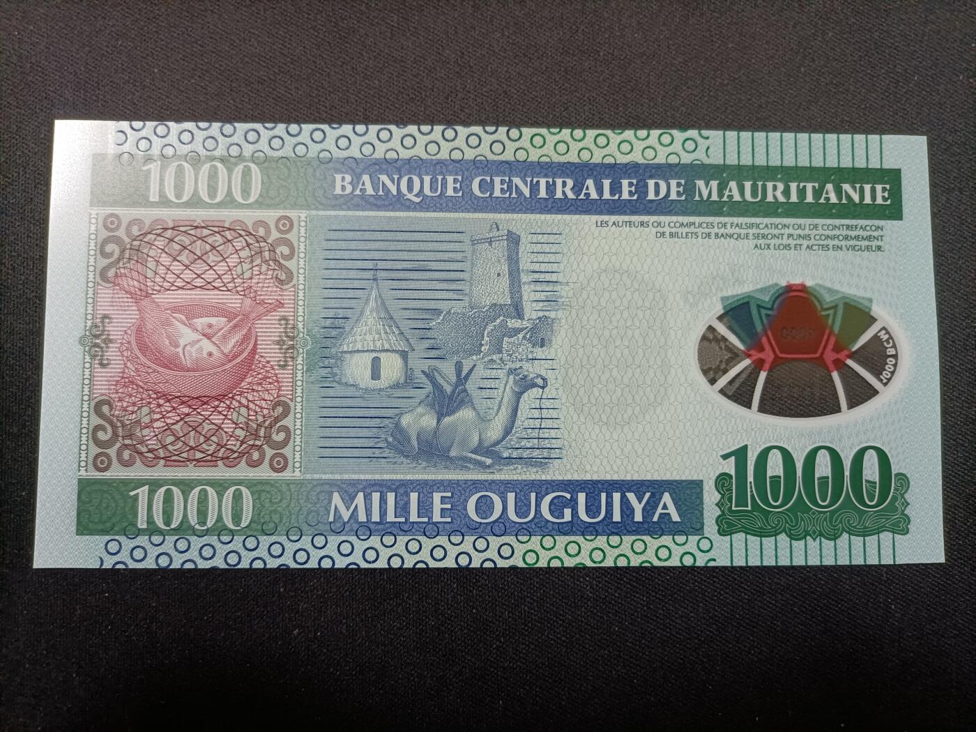 【游宝拍卖】乙巳蛇年99期 年末福尾场