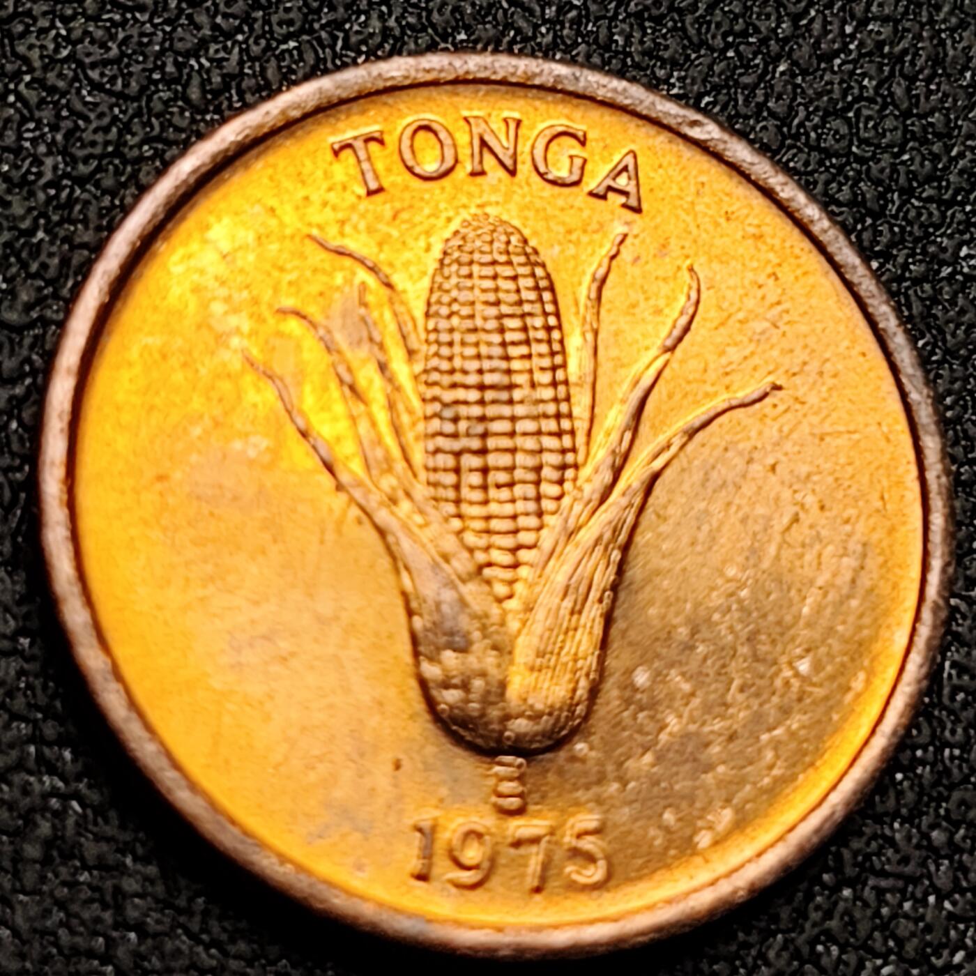 泉币菌-第151场-精品福利场 。