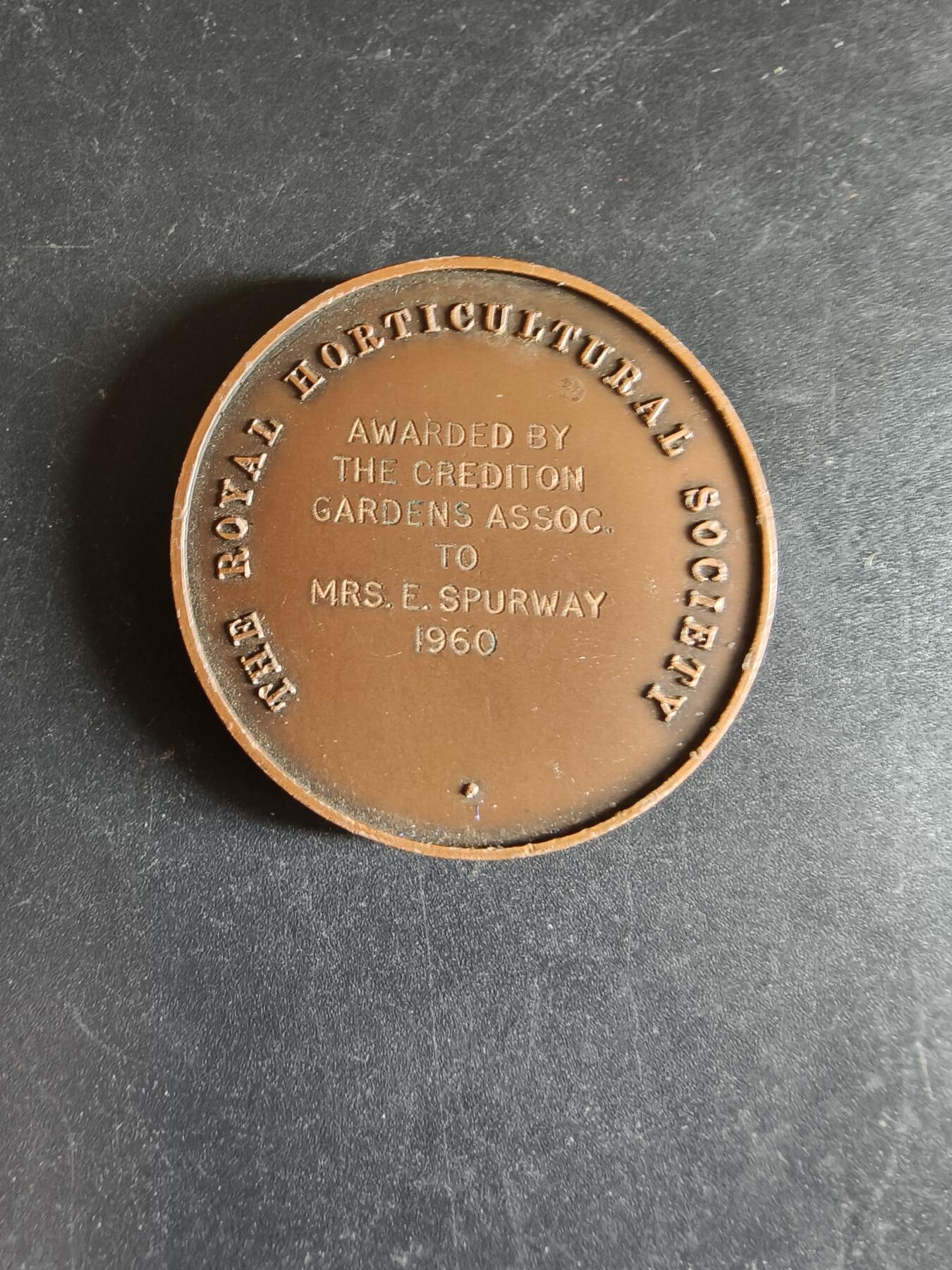 老王徽章第170期