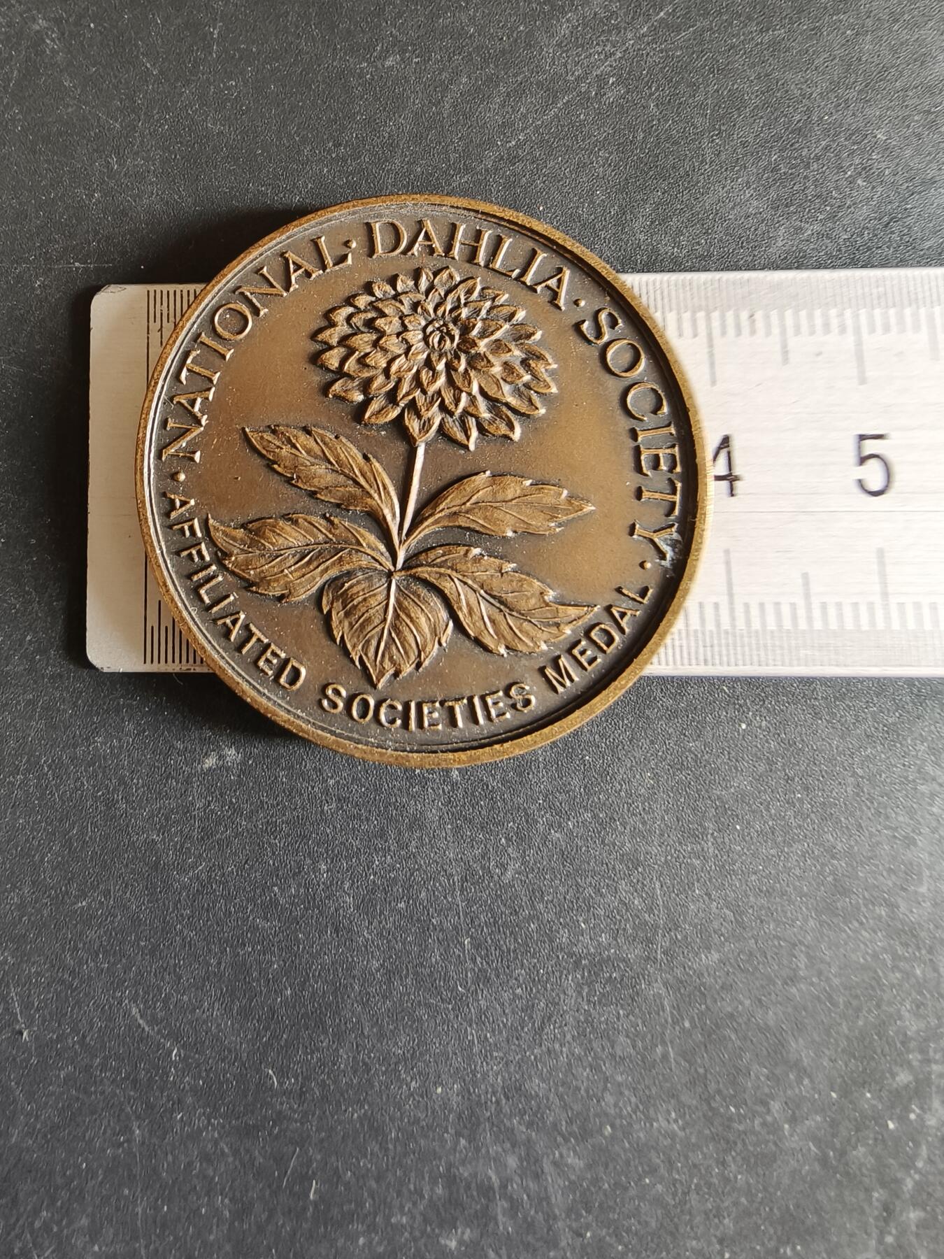 老王徽章第170期