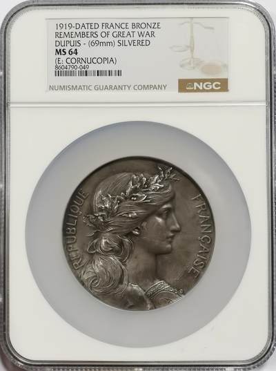 博洋堂世界钱币拍卖第153期（全场包邮） - NGC MS64 法国1919年纪念一战巨大铜镀银章，69mm的玛丽安奴高浮雕非常震撼！
