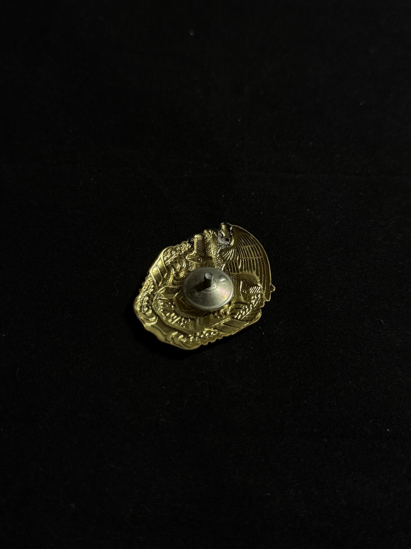 欢庆元旦！戎马世界章牌大赏第109期元旦大拍 乌克兰近卫军证章