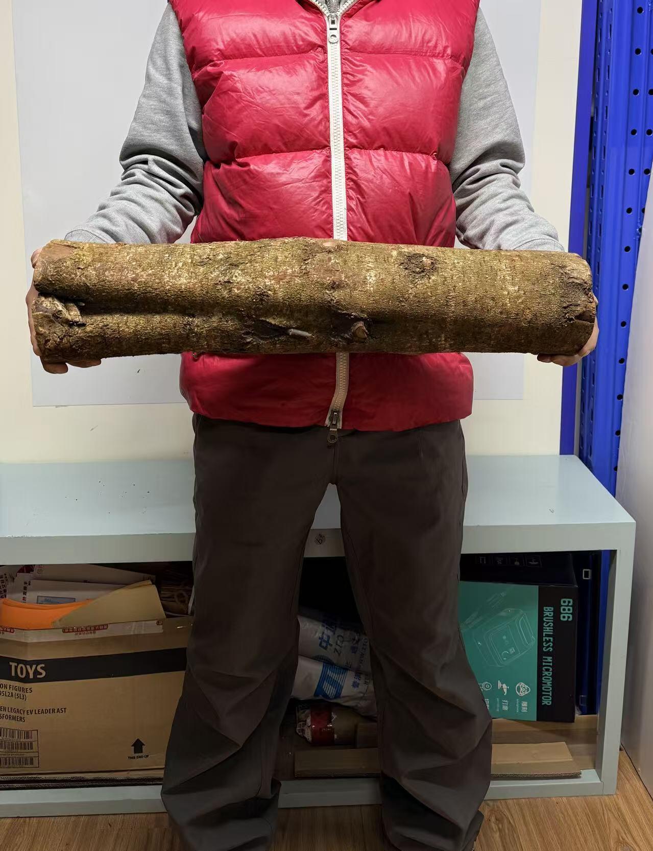 零元拍： S1-1 金丝楠 原木 风水柱 横财（材）带皮， 尺寸：60/11.5/13.5CM。抛光后金灿灿满香。最后一图为成品效果。