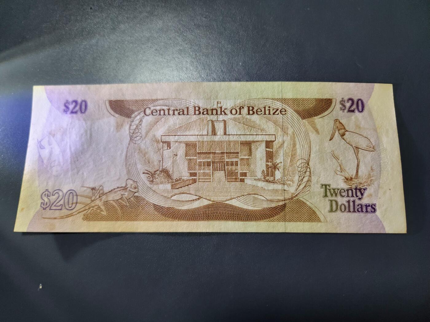 12月17号晚上8点 外国纸币自动截拍第73场 1982年 伯利兹 20元纸币 极美品