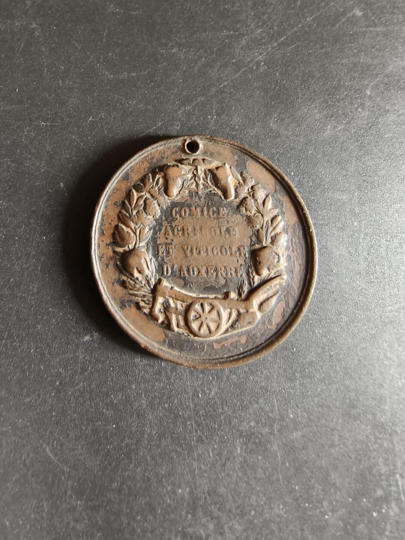 老王徽章第170期 法国农业协会大铜章     直径38mm    重量19.4g