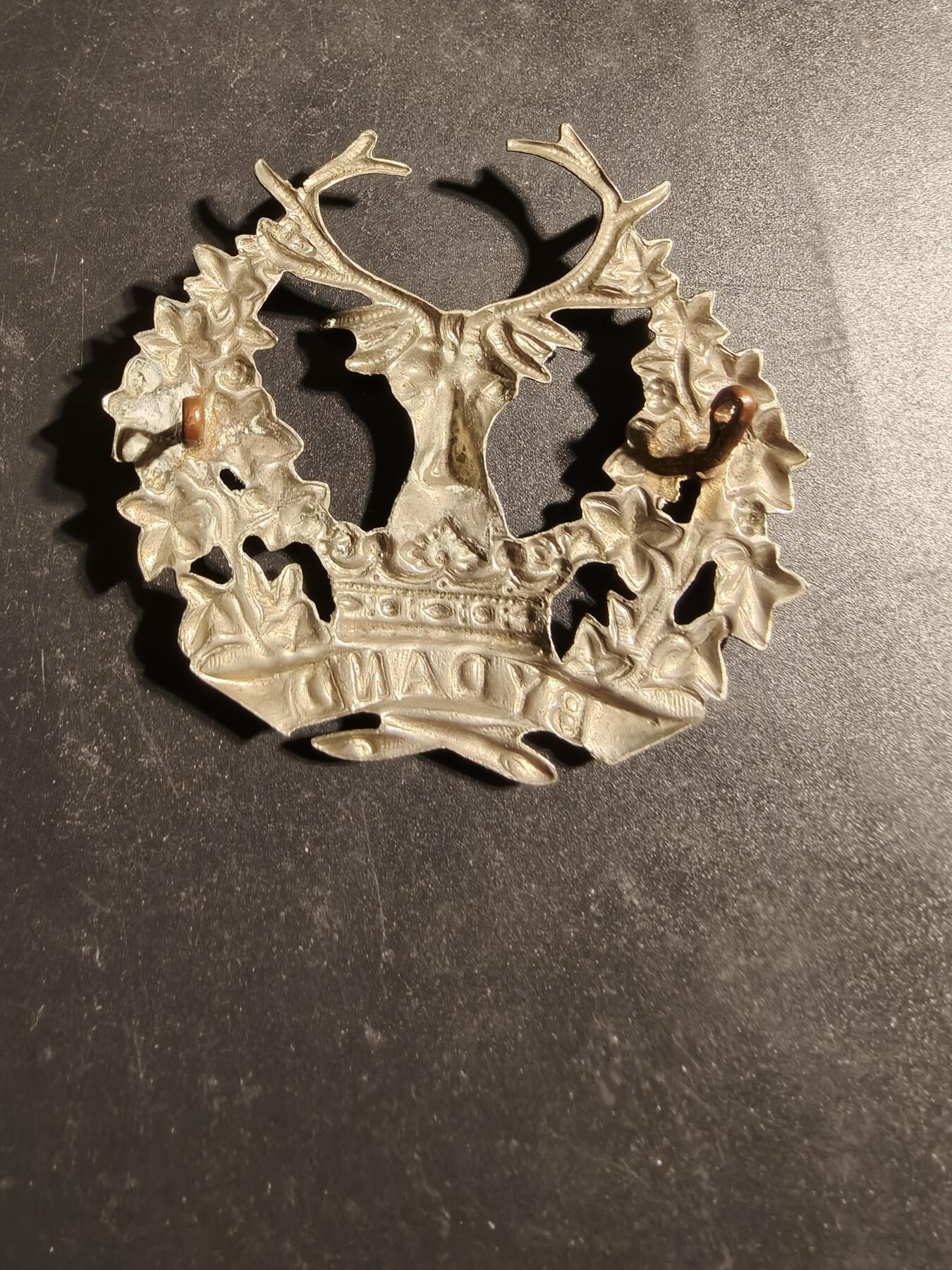 老王徽章第170期