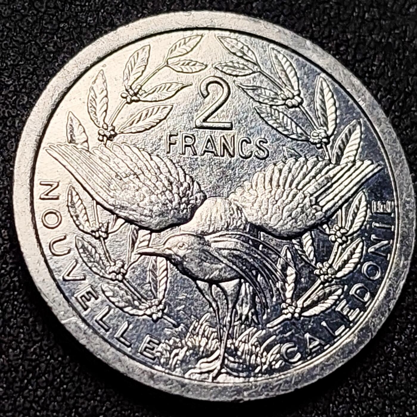 泉币菌-第151场-精品福利场 。