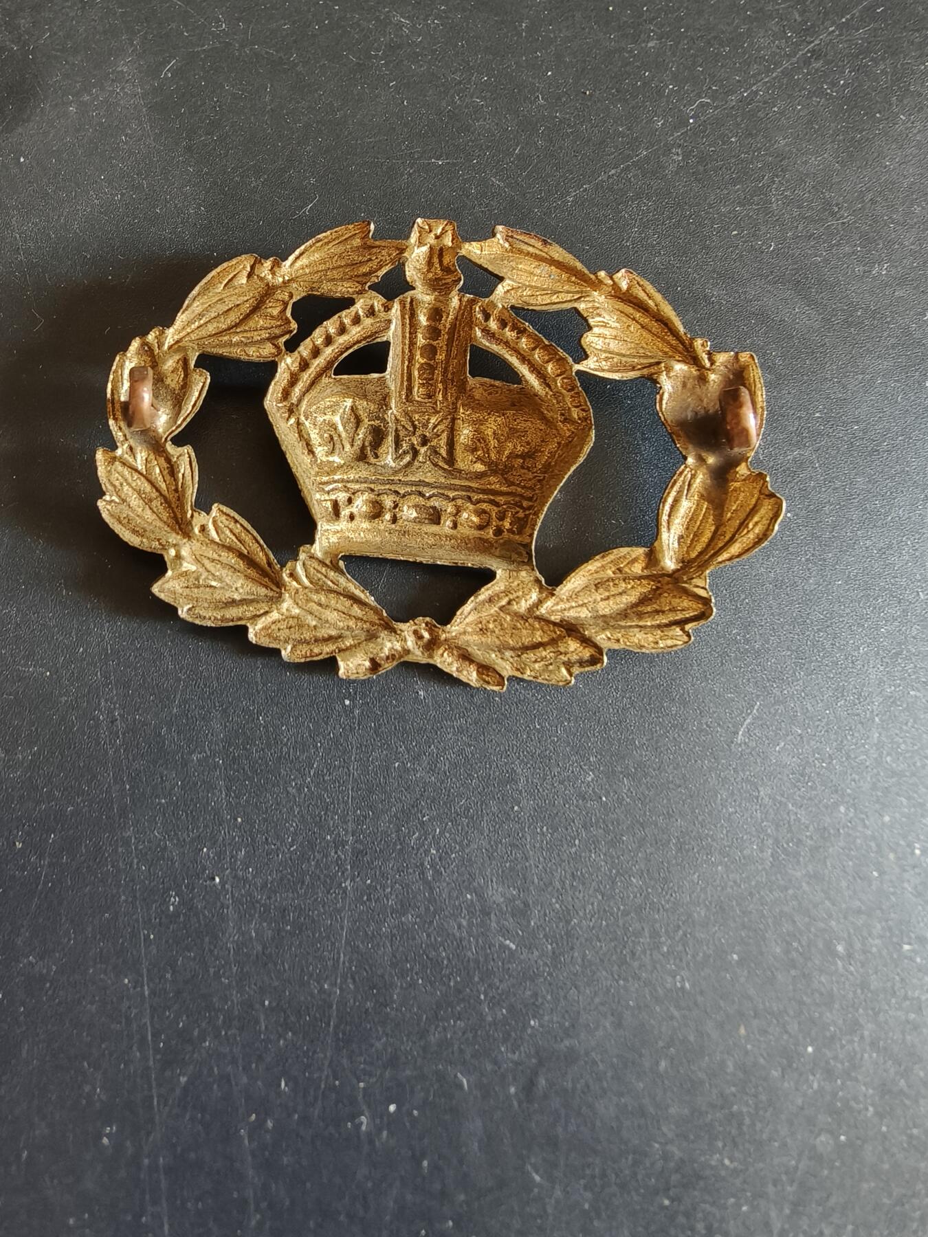 老王徽章第170期