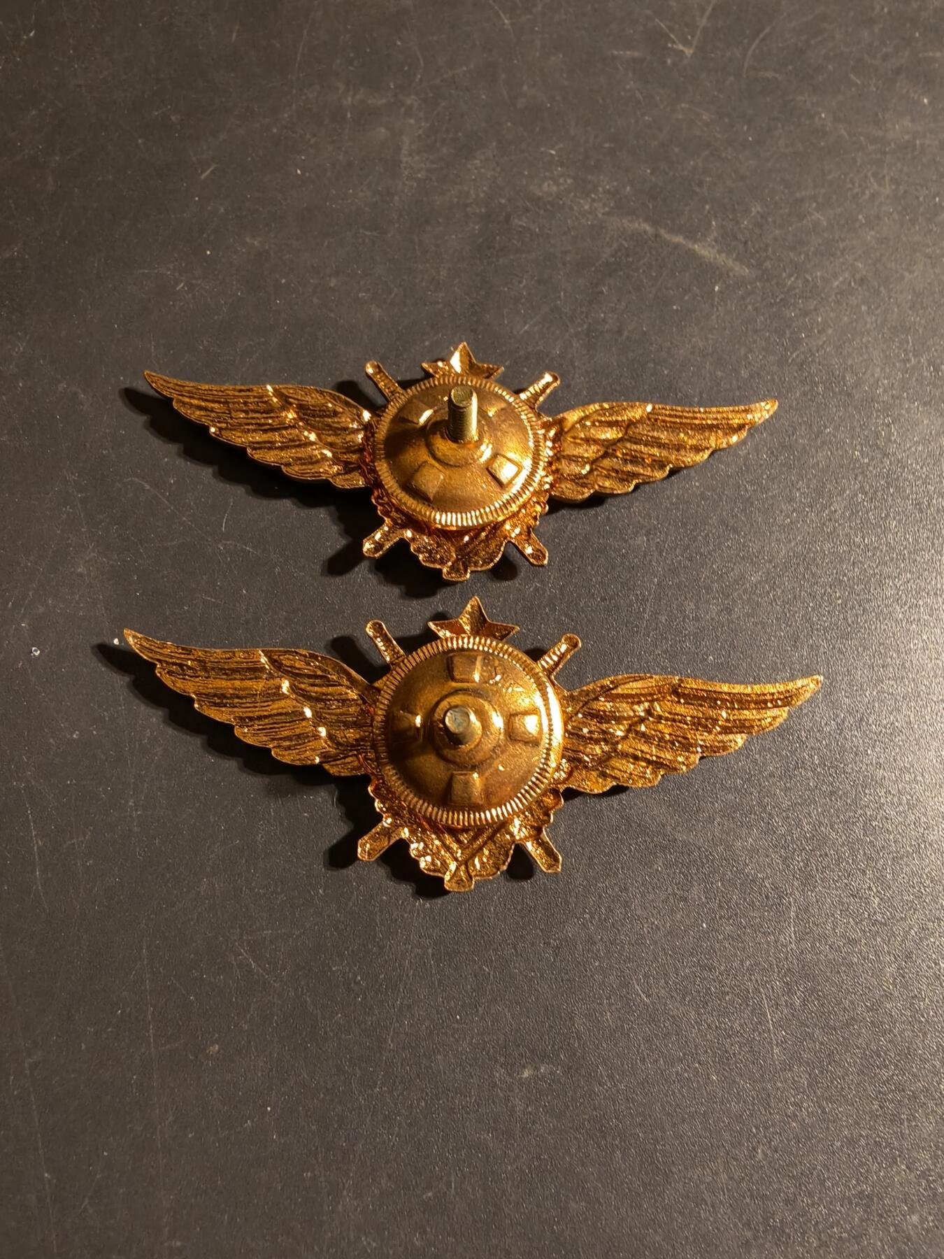 老王徽章第170期