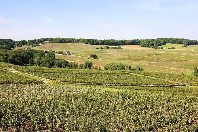 「木头集藏」“冬至雅藏”——章牌精品专场！