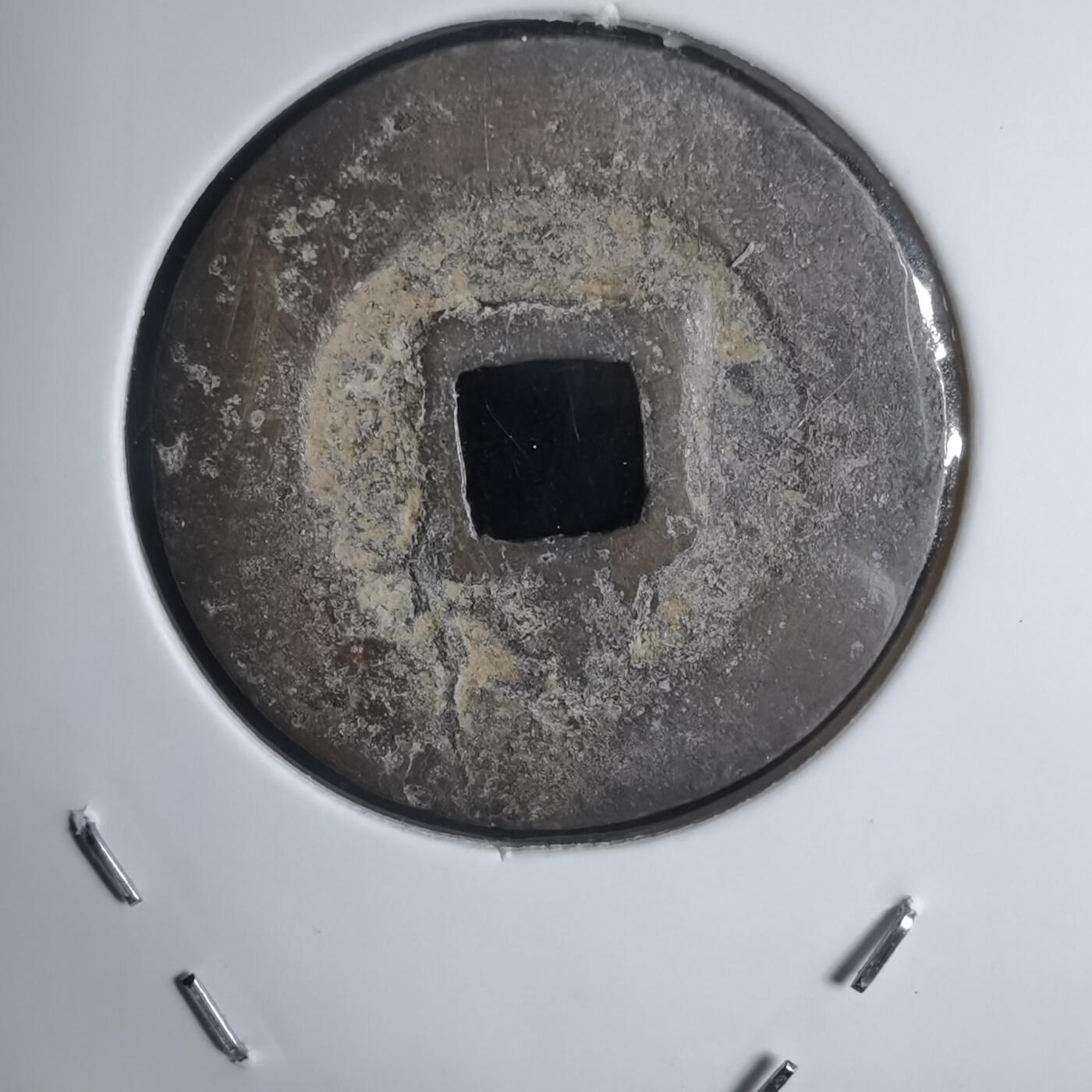 沼泽如烟--第939场 景兴通宝背中？