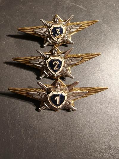 老王徽章第170期 - 俄罗斯空军领航员123级技能章一组