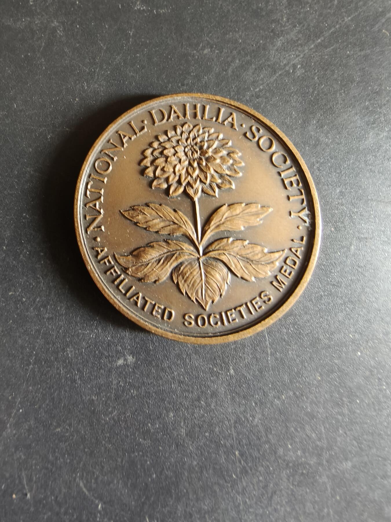 老王徽章第170期