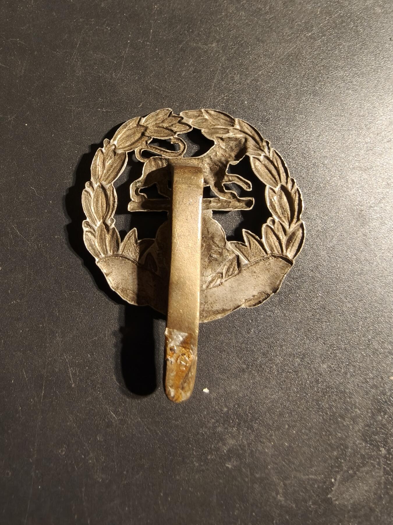 老王徽章第170期