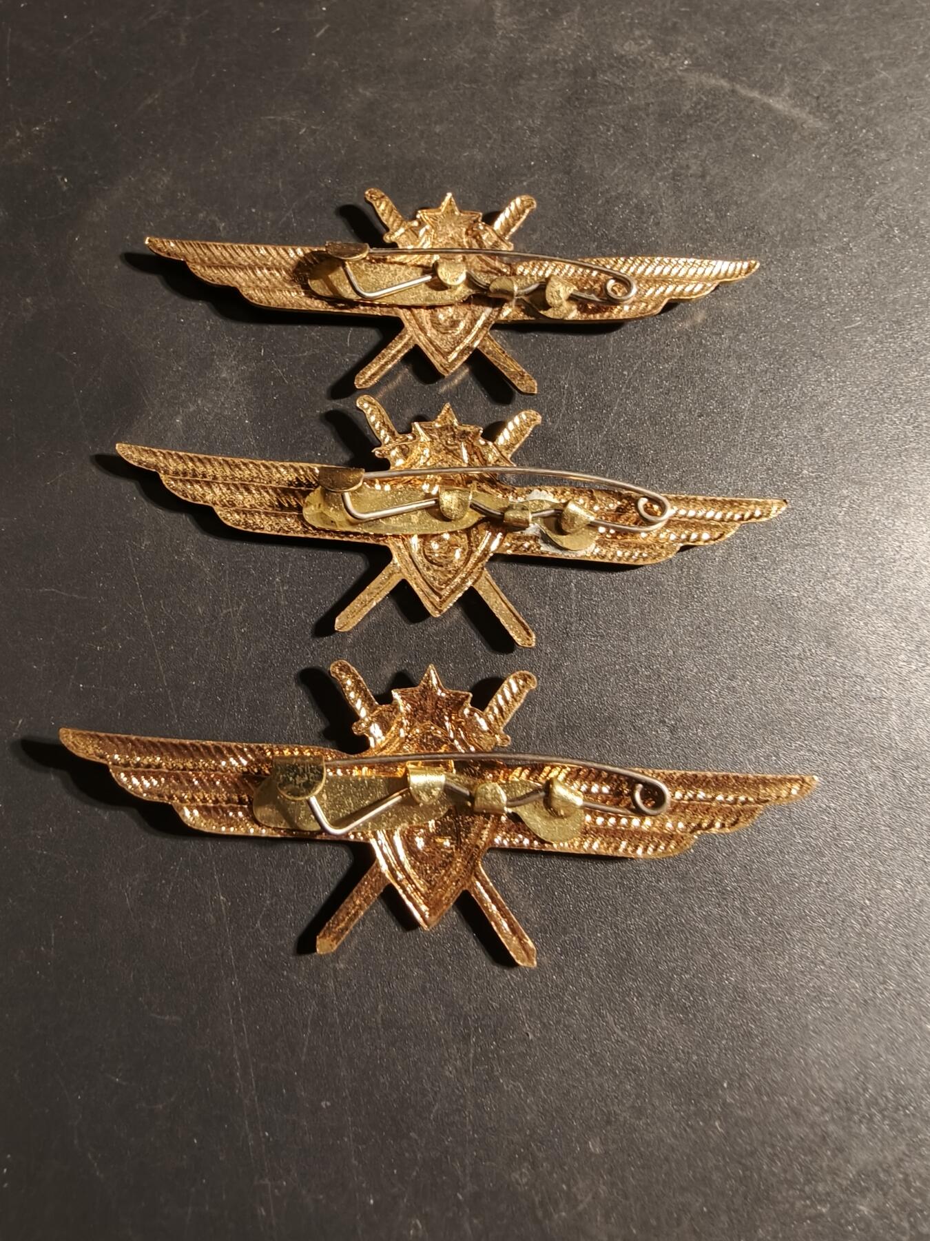 老王徽章第170期